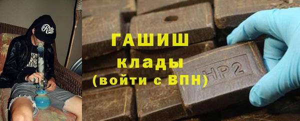 индика Переславль-Залесский