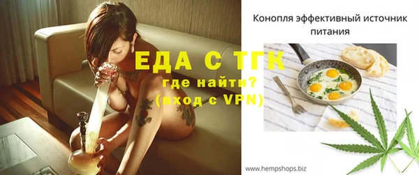 индика Переславль-Залесский