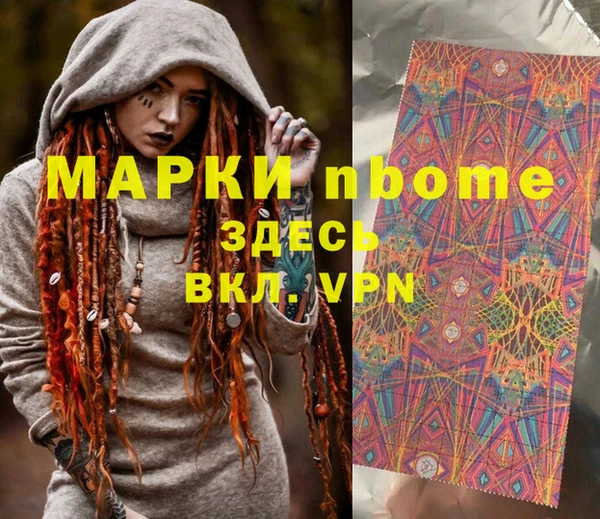 индика Переславль-Залесский
