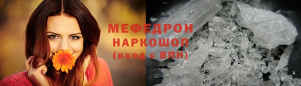 индика Переславль-Залесский