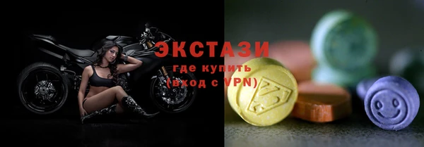 индика Переславль-Залесский