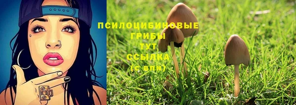 индика Переславль-Залесский