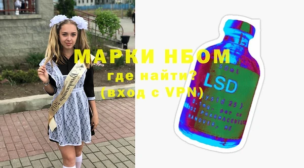 индика Переславль-Залесский