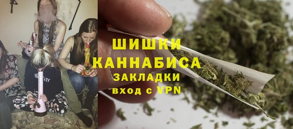 индика Переславль-Залесский