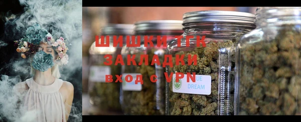 индика Переславль-Залесский