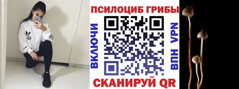 Галлюциногенные грибы MAGIC MUSHROOMS  Купить  Темрюк 