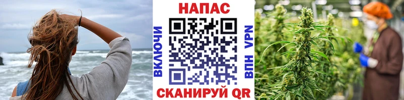 Марихуана OG Kush  Купить  Темрюк 